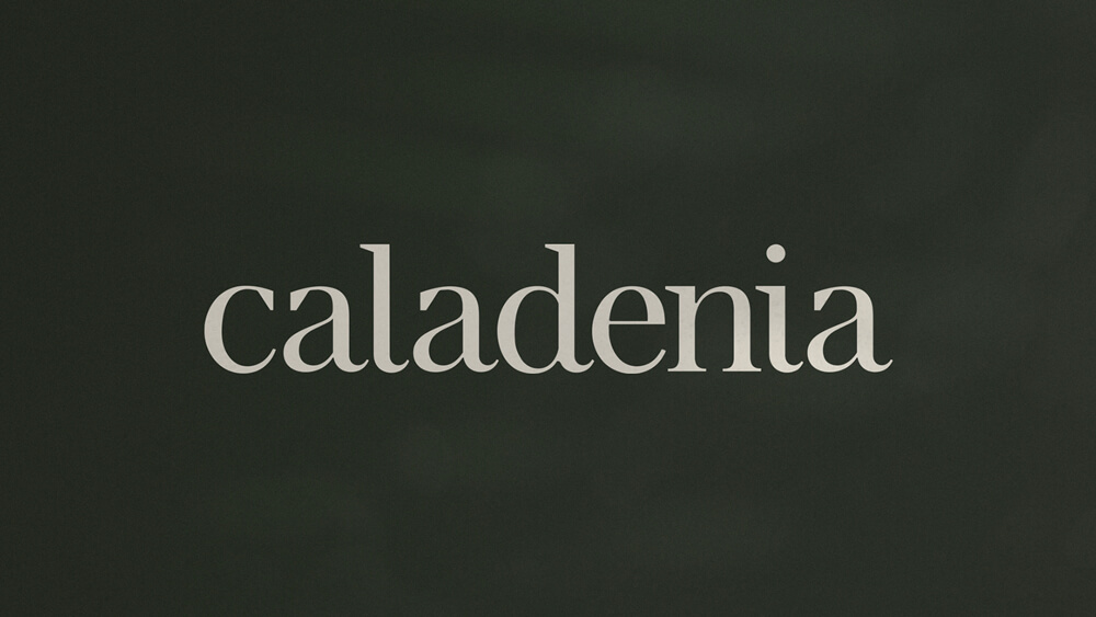 Custom wordmark logo for Caladenia.
