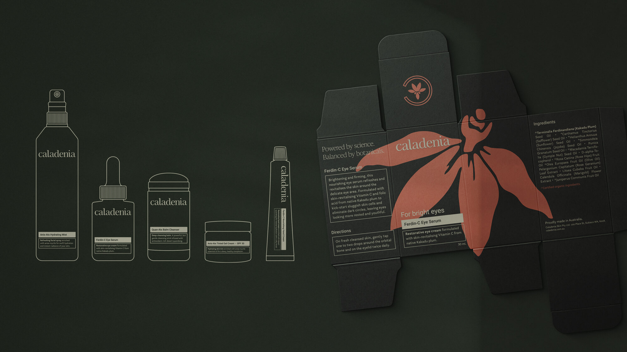 Illustrations of skincare packaging designs alongside unfolded packaging box.